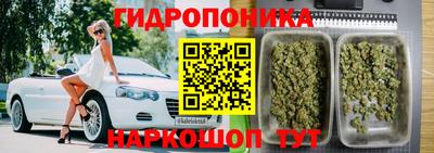 крисы Заводоуковск