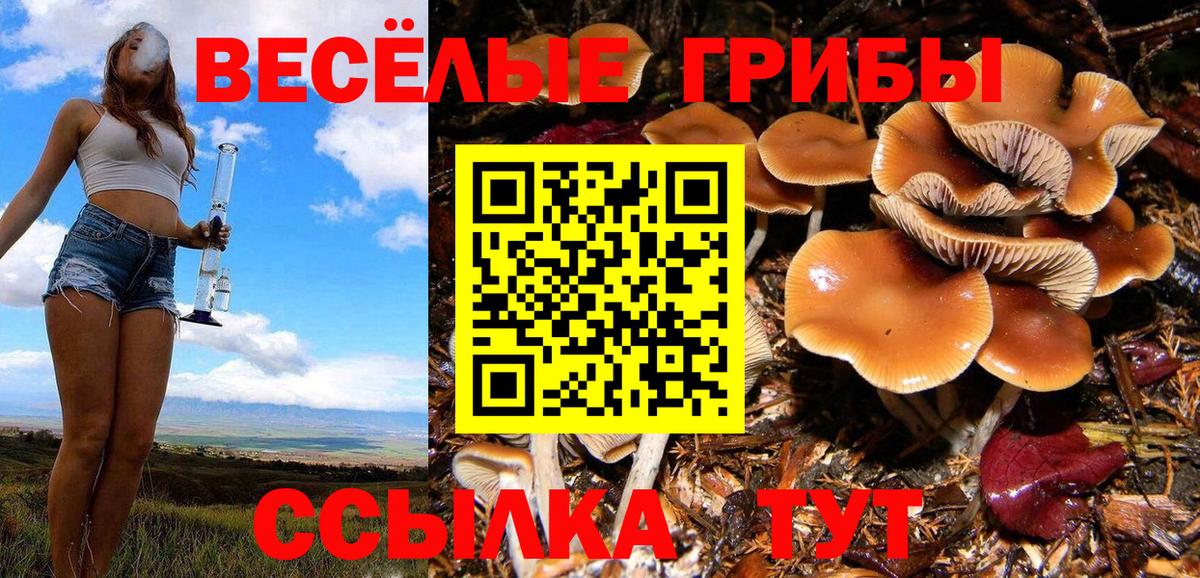 Псилоцибиновые грибы прущие грибы  Вход с VPN  Бугуруслан 
